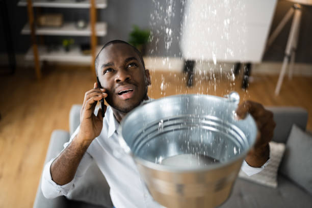 Best Fire Damage Restoration  in San Bruno, CA