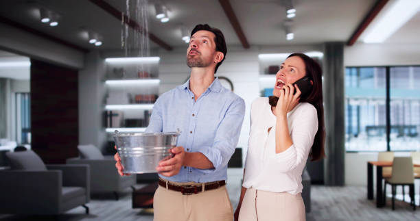 Best Ceiling water damage repair  in San Bruno, CA