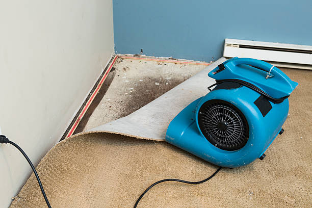 Best Water damage restoration near me  in San Bruno, CA